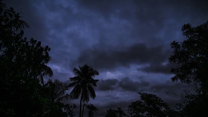 Extreme weather in 2023 claimed nearly 3,000 lives in India, reveals CSE report