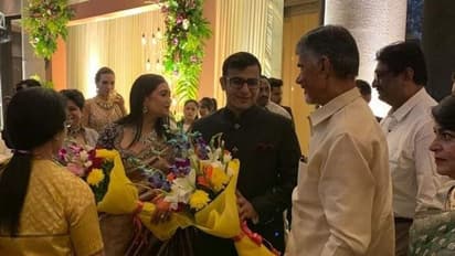 Chandrababu: సిద్దార్థ్ లూథ్రా కుమారుడి పెళ్లి రిసెప్షన్ కు హజరైన చంద్రబాబు.. ఆ ఫోటోలు వైరల్!