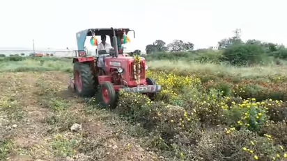 ಚಿತ್ರದುರ್ಗ: ಹೂವಿನ ದರ ಕುಸಿತ ಕಂಗಾಲಾದ ಅನ್ನದಾತ..!