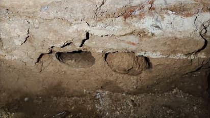 ಸಿದ್ದಲಿಂಗೇಶ್ವರರ ಗದ್ದುಗೆಯಲ್ಲಿ ಬೆಳೆಯತ್ತಿರುವ ಹುತ್ತ