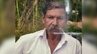 വയനാട്ടില് കാണാതായ വയോധികനെ അവശനിലയില് കണ്ടെത്തി