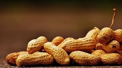 வேர்க்கடலையை 'இப்படி' சேமிங்க; இனி பூச்சி, புழுக்கள் வராது!!