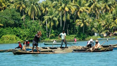 കൊല്ലത്ത് മൂന്നു മാസത്തേക്ക് കക്ക വാരലിന് നിരോധനം; 'ലംഘിച്ചാൽ കർശന നടപടി'