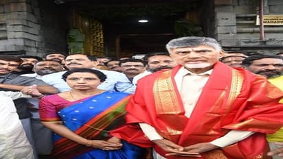 Nara Chandrababu Naidu:తిరుమల వెంకన్నను దర్శించుకున్న చంద్రబాబు