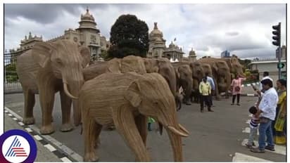 ಬೆಂಗಳೂರು ಹಬ್ಬ, ವಿಧಾನ ಸೌಧದಲ್ಲಿ ಲಾಂಟಾನ್ ಆನೆಗಳನ್ನು ನೋಡಿ ಜನ ಫಿದಾ
