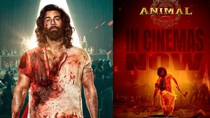 #Animal: బడ్జెట్ ఎంత, నిర్మాతలకు ఎన్ని కోట్లు లాభం