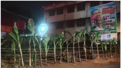 '1+20=21', എണ്ണം തികച്ചുണ്ടെന്ന് സരിൻ; നവകേരള സദസ് വേദിയിൽ രാത്രി വാഴ വെച്ചു; നേരം പുലരും മുമ്പേ വെട്ടി മാറ്റി