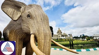 Why 15 elephants made from Lantana trees stand majestically outside Bengaluru's Vidhana Soudha; read this