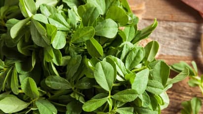 പ്രമേഹം മുതല്‍ കൊളസ്ട്രോള്‍ വരെ; അറിയാം ഉലുവയിലയുടെ ഗുണങ്ങള്‍... 