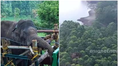 മേൽനോട്ടം വഹിക്കുക കളക്ടർ, അരിക്കൊമ്പനെ തുരത്തിയില്ലേ ആ കാട്! ആ കാടടക്കം 364 ഹെക്ടർ സംരക്ഷിത വനമാക്കുന്നു