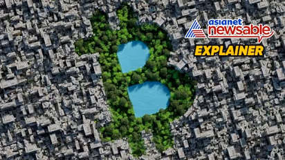 Decoding Bitcoin's environmental toll: How single transaction uses enough clean water to fill a swimming pool