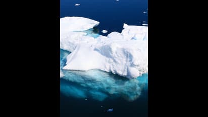 ಪೆಂಗ್ವಿನ್ ಜೊತೆ ವಾಸ, ವಾರಕ್ಕೊಮ್ಮೆ ಸ್ನಾನ.. ಇಲ್ಲಿದೆ ಉದ್ಯೋಗವಕಾಶ,ಕೆಲಸ ಖಾಲಿ ಇದೆ!