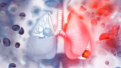 'വൈറ്റ് ലങ് സിൻഡ്രോം'; പുതിയ കേസുകളില്ലെന്ന് ചൈന- വിശ്വസിക്കാതെ ലോകം...
