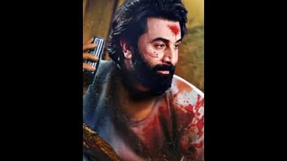 #Animal ఓటిటి షాక్, మతిపోయే న్యూస్