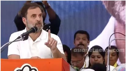 10 ವರ್ಷದಲ್ಲಿ ಶೇ. 50 ಮಹಿಳಾ ಸಿಎಂ: ಕಾಂಗ್ರೆಸ್‌ಗೆ ರಾಹುಲ್‌ ಗಾಂಧಿ ಟಾರ್ಗೆಟ್‌