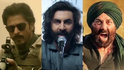 കിം​ഗ് ഖാനും സണ്ണി ഡിയോളിനും ചെക്ക് വച്ചോ രണ്‍ബീര്‍? 'അനിമല്‍' ആദ്യദിനം നേടിയത്