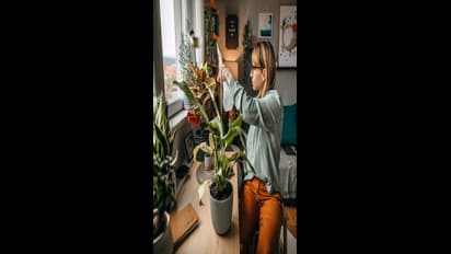 இந்த செடிகள் அகால மரணத்தை ஏற்படுத்தும்.. அவற்றை வீட்டில் ஒருபோதும் நட வேண்டாம்..!!