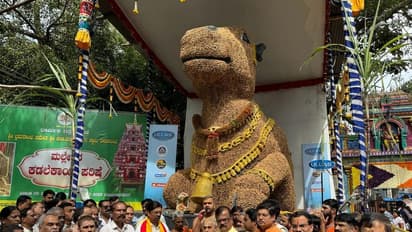 ಕಾಡು ಮಲ್ಲೇಶ್ವರ ಕಡಲೆಕಾಯಿ ಪರಿಷೆ ಅದ್ಧೂರಿ ಆರಂಭ: ಬಸವಣ್ಣಗೆ 800 ಕೆಜಿ ಕಡಲೆ ಶೃಂಗಾರ