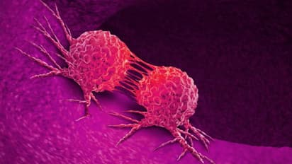 ഈ വിറ്റാമിനുകളുടെ കുറവ് ക്യാന്സര് സാധ്യത കൂട്ടും...