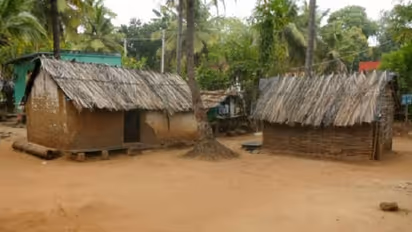 ಸ್ವಾತಂತ್ರ್ಯ ಬಂದು 76 ವರ್ಷ ಕಳೆದ್ರೂ ಇನ್ನೂ ಗುಡಿಸಲುಗಳಲ್ಲೇ ಬುಡಕಟ್ಟು ಸೋಲಿಗರ ವಾಸ: ಇದೇನಾ ಅಭಿವೃದ್ಧಿ?