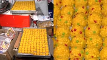 ലഡ്ഡു റെഡി, ഇനി ജയിച്ചാൽ മതി, വോട്ടെണ്ണും മുമ്പ് കോൺഗ്രസ് ദേശീയ ആസ്ഥാനത്ത് ആഘോഷങ്ങളുടെ ഒരുക്കങ്ങൾ