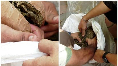 ട്രോളി ബാ​ഗുമായി ട്രെയിനിൽ വന്നിറങ്ങി, ഓട്ടോയിൽ കയറി; പൊലീസെത്തി പിടിച്ചത്  13 കിലോ കഞ്ചാവ്,സംഭവം തലസ്ഥാനത്ത് 