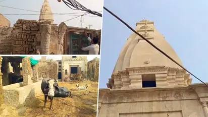 Viral Video: Now, conversion of another temple in Pakistan's Sadiqabad into animal farm sparks outrage