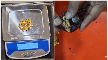 ഈന്തപ്പഴത്തിന്റെ ഉള്ളിൽ ഒളിപ്പിച്ച് കടത്താൻ ശ്രമം; പിടികൂടിയത് 10 ലക്ഷം രൂപ വില വരുന്ന സ്വർണ്ണം