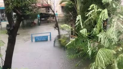 சென்னையில் கனமழை.. 14 சுரங்கபாதைகள் மூடல்.. மின்சார ரயில் சேவையில் சிக்கல்? சுகாதார அதிகாரி விடுத்த கோரிக்கை!