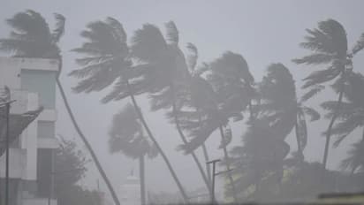 ശക്തമായ കാറ്റിനും മോശം കാലാവസ്ഥയ്ക്കും സാധ്യത; ഇന്നും നാളെയും മത്സ്യബന്ധനത്തിന് വിലക്ക്