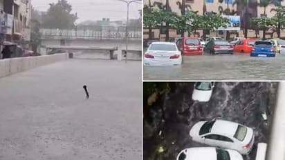 മിഗ്ജൗമ് തീവ്രചുഴലിക്കാറ്റായി, ചെന്നൈയിൽ പ്രളയം, ജനജീവിതം സ്തംഭിച്ചു, സ്കൂളുകൾക്ക് അവധി 