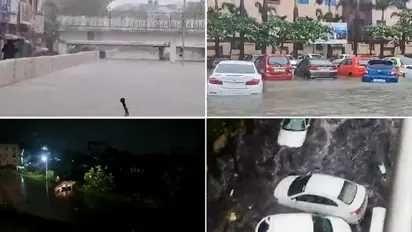 Chennai floods: Viral videos capture cars floating, crocodile on road & more amid Cyclone Michaung (WATCH)
