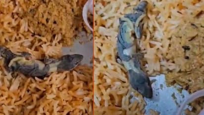 Zomatoದಲ್ಲಿ ಹೈದರಾಬಾದ್‌ನ ಫೇಮಸ್‌  ರೆಸ್ಟೋರೆಂಟ್‌ ಬಾವರ್ಚಿಯಿಂದ ಆರ್ಡರ್ ಮಾಡಿದ್ದ ಬಿರಿಯಾನಿಯಲ್ಲಿ ಹಲ್ಲಿ 