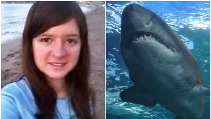 മകളോടൊപ്പം നീന്തുന്നതിനിടെ സ്രാവ് കടിച്ചു കീറി, 26കാരിക്ക് ദാരുണാന്ത്യം, ജീവൻ നഷ്ടപ്പെടുത്തി മകളെ രക്ഷിച്ചു