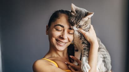 പൂച്ചകള്ക്കുള്ള 34 വര്ഷത്തെ വിലക്ക് നീക്കി സിംഗപ്പൂര്: പക്ഷേ, വ്യവസ്ഥ ലംക്ഷിച്ചാല് 'കൈ പൊള്ളും' !