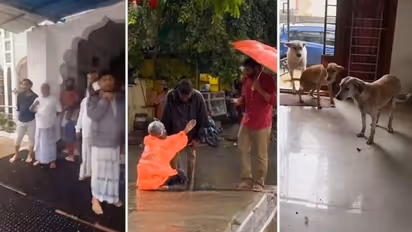 Chennai unites amid floods: From helping homeless to stray dogs, heartwarming videos of solidarity go viral
