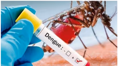 Karnataka battles Dengue surge: 5700 cases in 6 months, 5 fatalities including 1 in Bengaluru