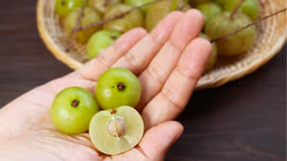 മഞ്ഞുകാലത്ത് ദിവസവും നെല്ലിക്ക കഴിക്കൂ; അറിയാം ഗുണങ്ങള്‍...