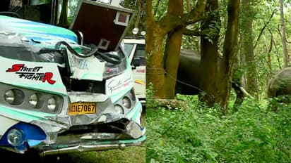 ബസ് ഇടിച്ച് പരിക്കേറ്റ കൊമ്പനെ മയക്കുവെടിവെച്ചു;കുങ്കിയാനകളുടെ സഹായത്തോടെ ചികിത്സ,നിരീക്ഷണം തുടരും