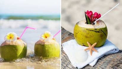 Coconut Water: 7 benefits of starting the day with nutrient-rich hydration