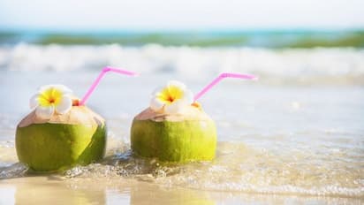 ఉదయమా లేక మధ్యాహ్నమా..? కొబ్బరినీరు ఎప్పుడు తాగితే మంచిది?