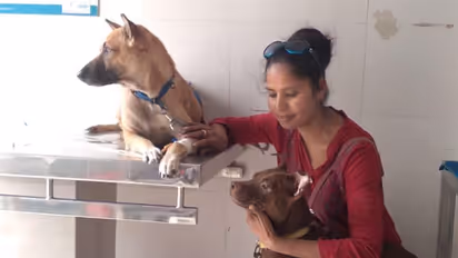 Sharing home with 85 animals: Sushma Singh’s mission to provide care to homeless animals