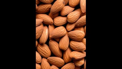చలికాలంలో బాదం పప్పులు తినొద్దా?