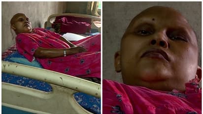 ആശ്വാസം! സന്തോഷം! ജോസിമോൾക്ക് ആധാർ കാര്ഡ് കിട്ടി; നടപടി 2 ദിവസത്തിനുള്ളിൽ; ഏഷ്യാനെറ്റ് ന്യൂസ് ഇംപാക്റ്റ്