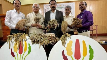 ಬೆಂಗಳೂರು: ಡಿ.9 ರಿಂದ ಆರ್ಟ್ ಆಫ್ ಲೀವಿಂಗ್‌ನಲ್ಲಿ ವಿಶ್ವ ಸಿರಿಧಾನ್ಯ ಮೇಳ, ಡಾ.ಸುರೇಶ್ 