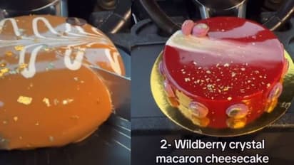 ഈ കേക്ക് വാങ്ങുന്ന കാശുണ്ടെങ്കിൽ ഒരു കാറ് വാങ്ങാം; കേക്കിന്റെ വില കേട്ട് ഞെട്ടരുത്!