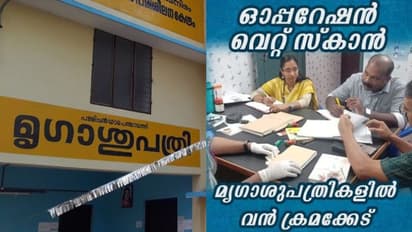 'വാങ്ങാത്ത മരുന്നിന് ബില്ല്, സ്വകാര്യ പ്രാക്ടീസ്, കണക്കില്ലാത്ത പണം'; മൃഗാശുപത്രികളിൽ പരിശോധന, ഞെട്ടി വിജിലൻസ്