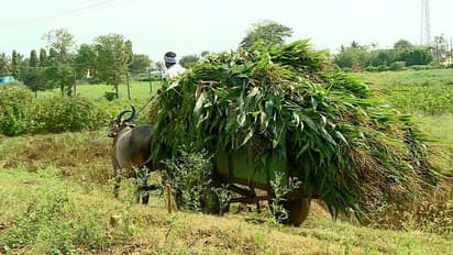 ರೈತರಿಗೆ ಸಾಲ ವಸೂಲಾತಿ ನೋಟಿಸ್‌ ಶೂಲ: ಕಂಗಾಲಾದ ಅನ್ನದಾತ..!