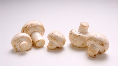 കാൻസർ രോഗികൾ കൂൺ കഴിക്കണമെന്ന് പറയുന്നതിന്റെ കാരണം