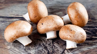 இல்லத்தரசிகளும் லட்சங்களில் சம்பாதிக்க அற்புதமான தொழில் வாய்ப்பு; ரூ.30,000 போட்டா ரூ.1 லட்சம்